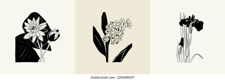 Flowers, Botanica illustration collection. Black ink, line, doodle style. 