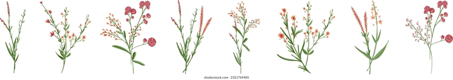 Flowers. Botanical blossom floral elements. Big set small hand drawing branches, leaves, herbs, wildflowers. Garden, meadow, field collection. Bloom bouquets vector illustration isolated on white 