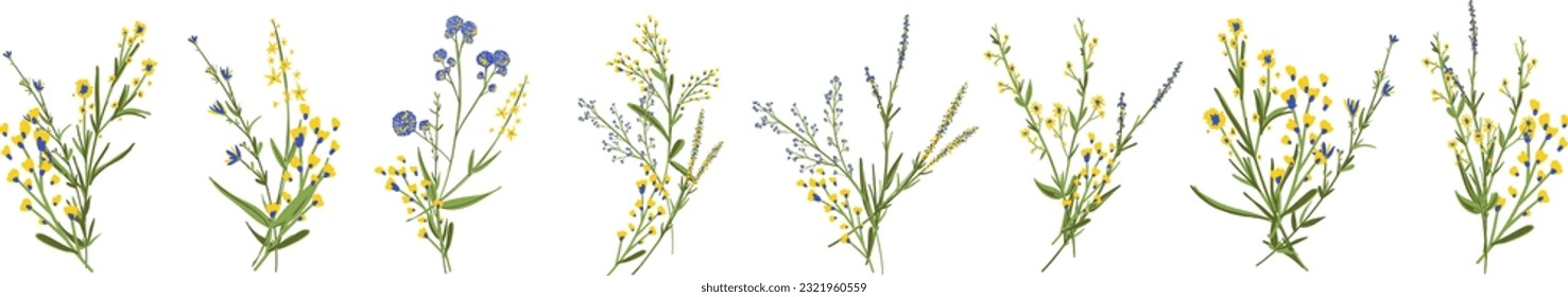 Flowers. Botanical blossom floral elements. Big set small hand drawing branches, leaves, herbs, wildflowers. Garden, meadow, field collection. Bloom bouquets vector illustration isolated on white 
