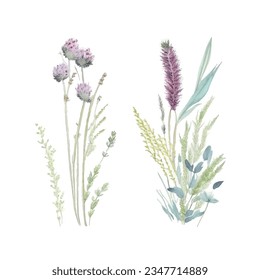 Flowers. Botanical blossom floral elements. Big set small hand drawing branches, leaves, herbs, wildflowers. Garden, meadow, field collection. Bloom bouquets vector illustration isolated on white
