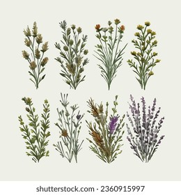 Flowers. Botanical blossom floral elements. Big set small hand drawing branches, leaves, herbs, wildflowers. Garden, meadow, field collection. Bloom bouquets vector illustration isolated on white