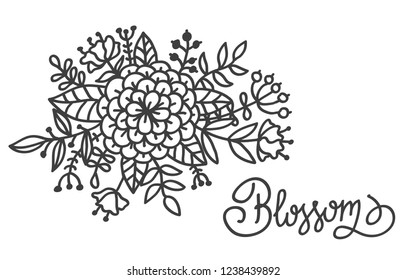 Flowers botanical decorative composition line doodle vector illustration