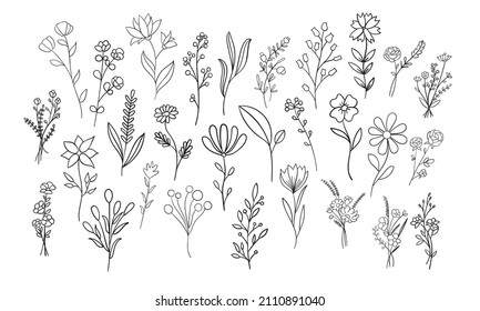 Flowers, botanical and leaves outline vector collection.