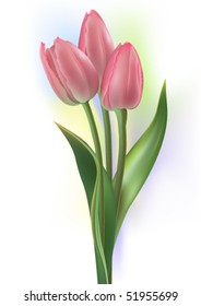 flowers bouquet
