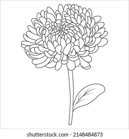Flowers bouquet coloring book page. Coloring books page for adults or children. Flat Vector Illustration