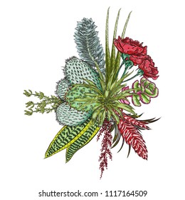 Flowers bouquet. Floral collection with various exotic jungle plants. Air plant, cactus, succulent, Bromelia, aloe vera, Houseplant, roses. For wedding and women day cards design purpose. Vector.