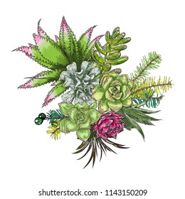Flowers bouquet. Floral collection with various exotic jungle plants. Air plant, cactus, succulent, Bromelia, aloe vera, Houseplant, roses. For wedding and women day cards design purpose. Vector.