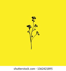 flowers for a bouquet icon vector