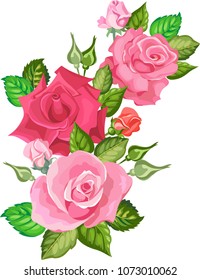 flowers bouquet with pink roses.vector