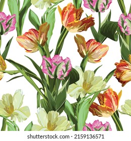 Fleurs de tulipes Printanières sur fond blanc. Motif harmonieux.  Convient pour l'emballage, le papier peint, le tissu.