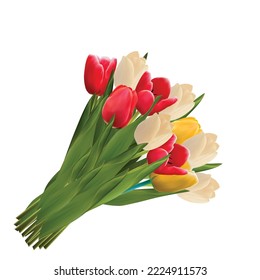 Flowers bouquet vector red and white tulips. white background vector flowers bouquet.