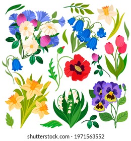 Flowers bouquet. Wildflowers meadow plants. Chamomile, clover and daffodil, poppy and lily of the valley, tulip and bellflowers isolated vector set. Spring or summer wild flora and herbs