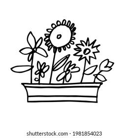 flowers in the box. Hand-drawn doodle illustration. Vector
