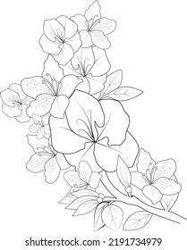 Flowers branch of Azalea Hand drawing  vector illustration Vintage design elements bouquet floral natural collection