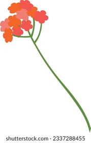 Flowers branch for decoration and design.