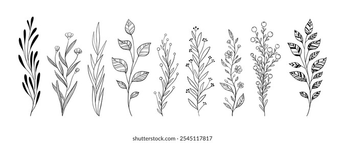 Flowers branch doodle. Hand drawn herbs line plants with leaves. Summer and spring rural branches. Natural decorative foliage sketch leaf. Floral isolated elements for wedding greeting card vector set