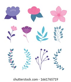 flowers branch leaves botanical nature icons vector illustration