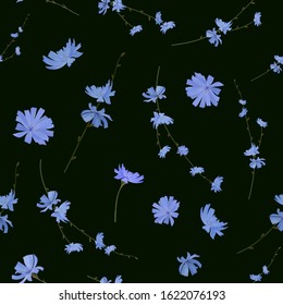 Flowers and branches with chicory flowers on a dark background. Seamless pattern