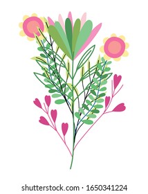 flowers branches greenery herb wild botany vector illustration