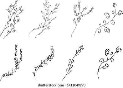 Flowers and branches hand drawn collection isolated on white background. Floral graphic elements big vector set. Doodle style