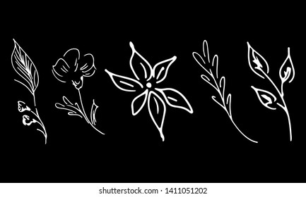 Flowers and branches hand drawn collection isolated on black background. Floral graphic elements. Big vector set. Simple collection