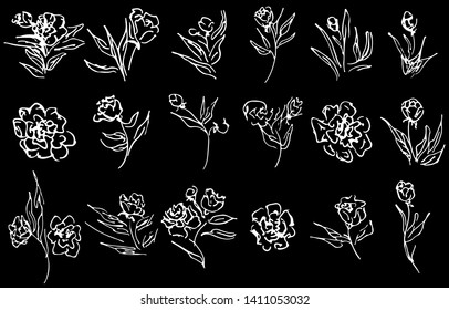 Flowers and branches hand drawn collection isolated on black background. 18 Floral graphic elements. Big vector set. Outline collection