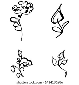 Flowers and branches hand drawn doodle collection isolated on white background. 4 floral graphic elements. Big vector set. Outline collection.