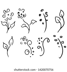 Flowers and branches hand drawn doodle collection isolated on white background. 8 floral graphic elements. Big vector set. Outline set.