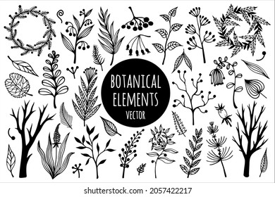 Flowers, branches, herbs vector collection. Hand-drawn doodles. The contours of wild plants with seeds, foliage. Monochrome concept for decoration, card design, textiles, packaging, eco cosmetics.