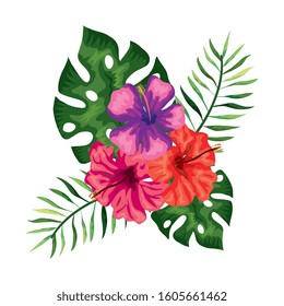 flowers with branches and leafs nature vector illustration design