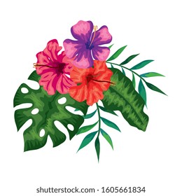 flowers with branches and leafs nature vector illustration design