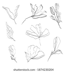 Flowers and branches with leaves line art, contour drawing. Isolated on white. Flowers for the design of cards, invitations, posters.