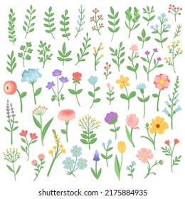 Flowers and branches summer spring set vector
