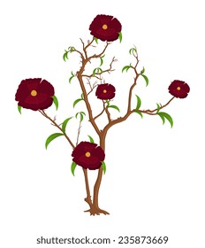 Flowers Branches Vector Design