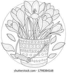 
Flowers in a bucket.
Crocuses.Coloring book antistress for children and adults. Illustration isolated on white background.Black and white drawing.Zen-tangle style.