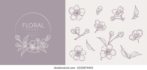 Flowers, buds and leaves of a spring tree. Set of hand drawn floral elements in line art style. Blooming sakura. Vector illustration