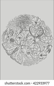 Flowers and butterflies