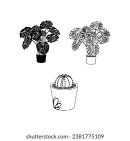 flowers and cactus in one set on white background. hand drawn vector illustration.