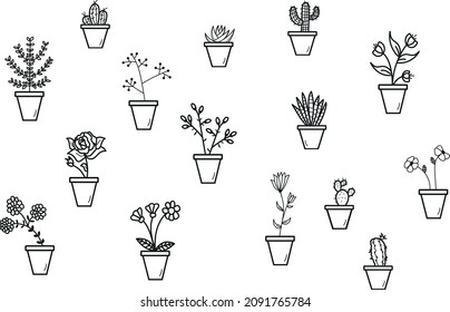 Flowers, Cactus, Succulent set collection, hand drawing style