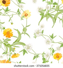  Flowers calendula clover