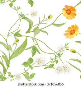 Flowers calendula clover