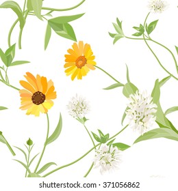 Flowers calendula clover