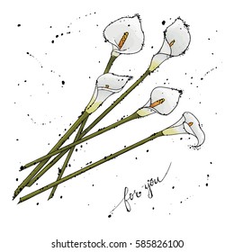 Flowers calla lilies on a white  background. Watercolor grunge.