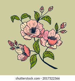  Flowers Camellia Sasanqua. Stock vector illustration eps10, outline hand drawing.