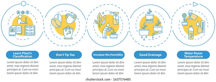 Flowers care vector infographic template. Plant sorts. Herbal cultivation presentation design elements. Data visualization with five steps. Process timeline chart. Workflow layout with linear icons