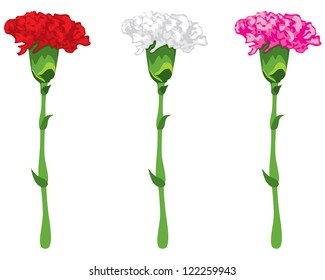 Flowers carnations, pink, red and white