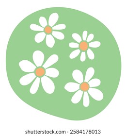 Flowers, chamomile, daisy icons. Simple color vector illustration clip art in flat style, isolated on white background