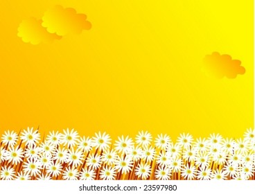 The flowers, clouds and a grass, a background