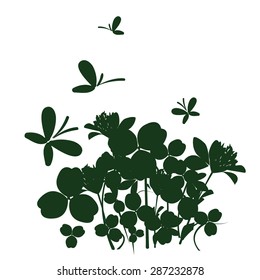 Flowers, clover, silhouette