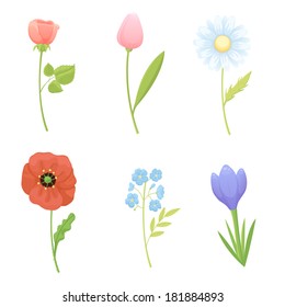 Flowers collection